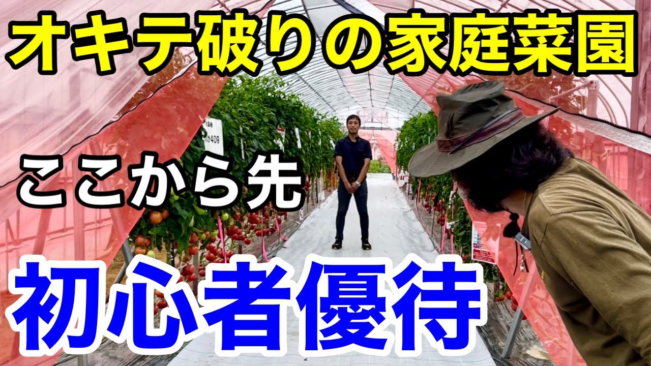 【驚愕野菜】家庭菜園を失敗しがちな方はこれで解決できます　　　　　【カーメン君】【園芸】【ガーデニング】【初心者】【ナント種苗】