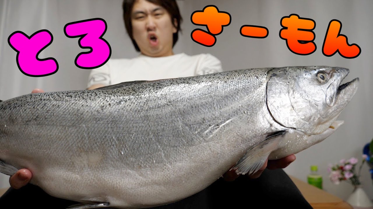 サーモンの王様『キングサーモン』が裏ルートできまぐれクックの手に。あれつくる。