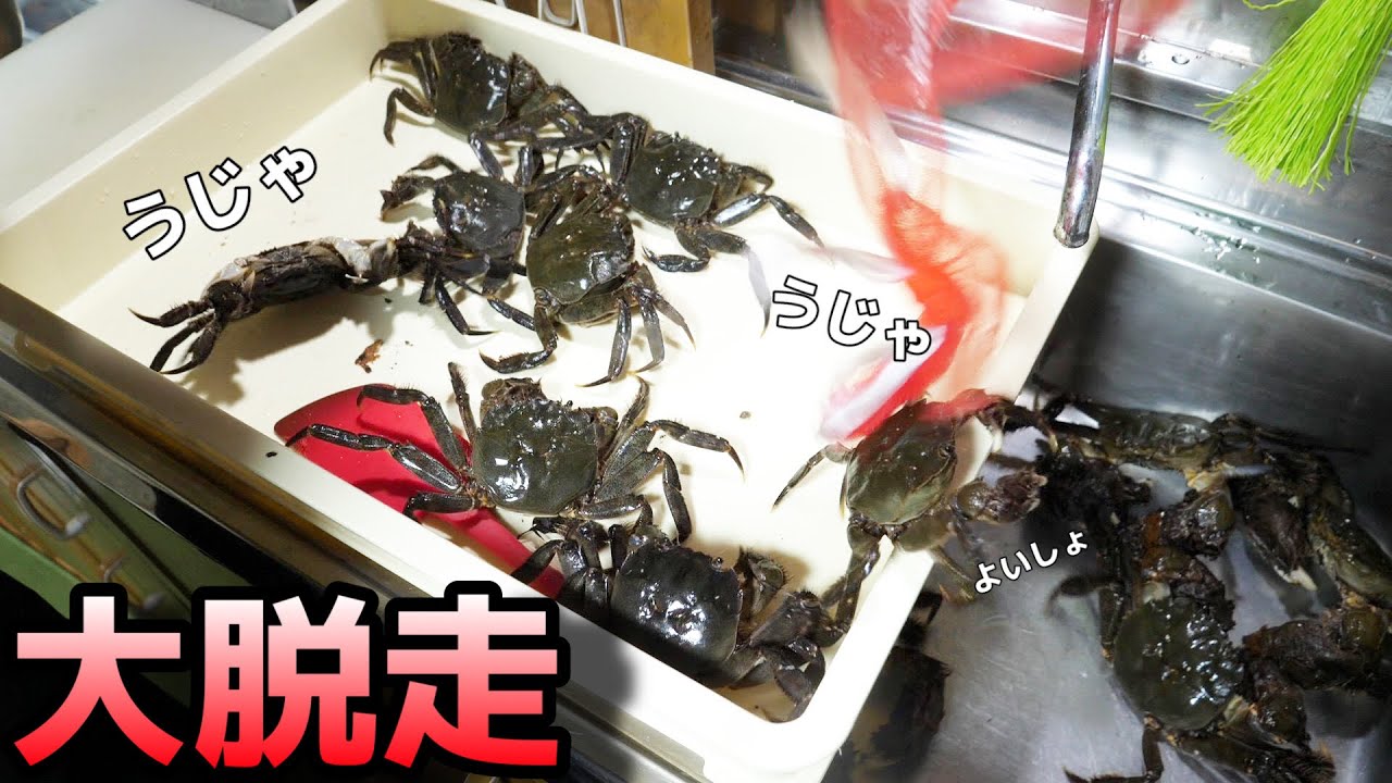 生きてるモクズガニをそのまま粉々に潰す料理が存在します！！