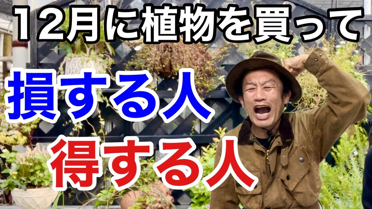 【元店長が明かす】2022年12月の園芸店裏情報解禁します　　【カーメン君】