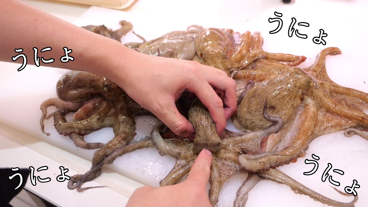 暴れ狂うタコをつぎつぎと・・・。