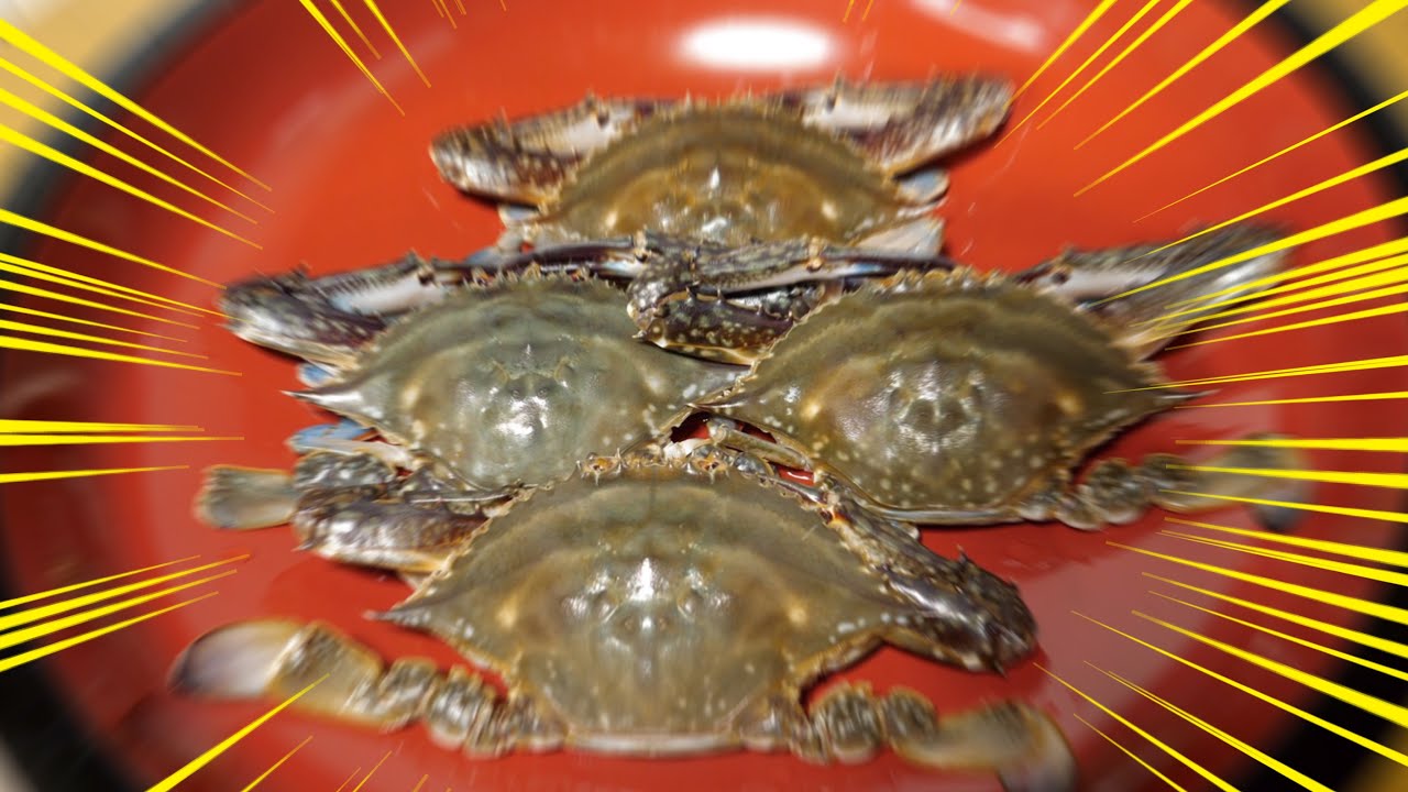 【病気がでてしまいました】新しいケジャンを作りたい。