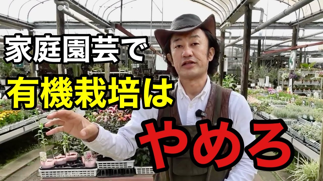 【正直に言います】誰も言わない有機栽培のデメリットを教えます　　　　　　【カーメン君】【園芸】【ガーデニング】【初心者】