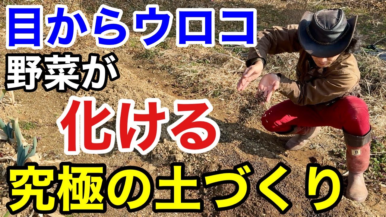 【結論土づくりはこれだけ】とんでもなく取れた野菜が美味くなります　　　　　【大成農材】【超微生物】【極肥料】