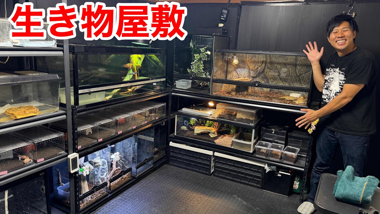 一軒家で４０種類の生き物を飼育する男の部屋が凄過ぎる