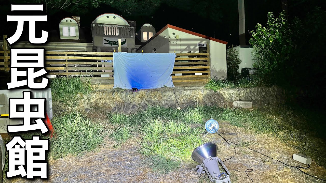 閉館した昆虫館の跡地でライトトラップをした結果・・・！