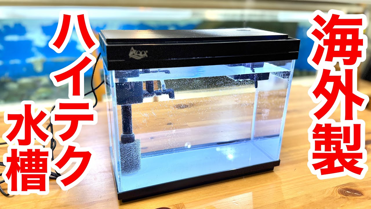 ６個の機能が詰め込まれた海外製のハイテク水槽を買ってみた結果・・・！