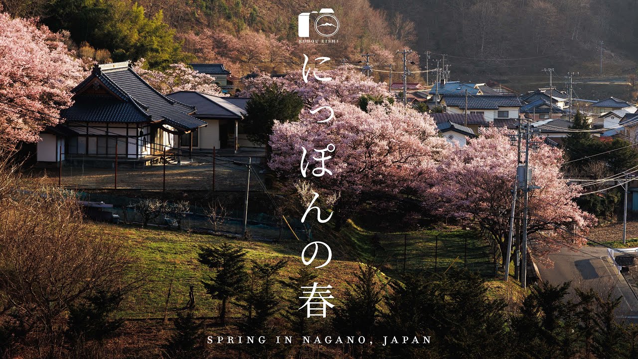 【風景写真】日本の桜・春の世界へ届けたい絶景 - 総集編