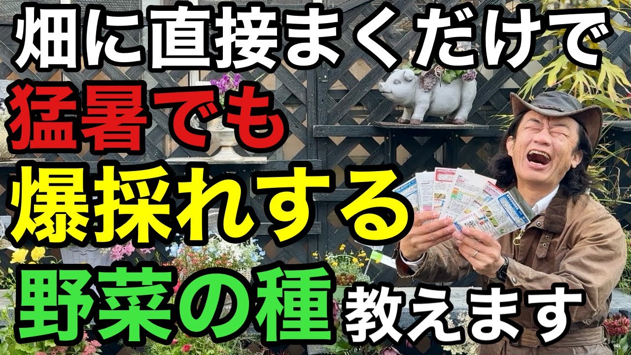 【賢い人だけ得をする】これから猛暑も怖くない！超おすすめ野菜の種教えます　　　　【園芸】【家庭菜園】【初心者】