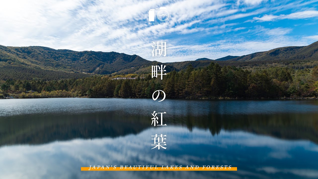 長野県の美しい紅葉の景色。湖と森の遊歩道での風景写真撮影｜初秋｜4K HDR