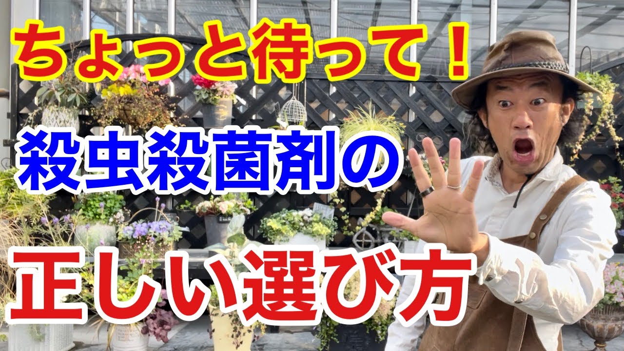【無駄買い注意】殺虫殺菌剤には選び方があります　　　　【カーメン君】【ガーデニング】【初心者】【アース製薬】【いとし】【うまし】