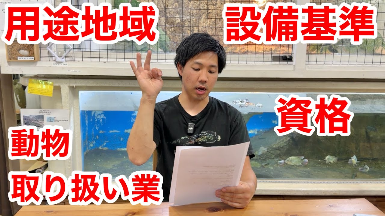 爬虫類ショップの開き方について全て教えます