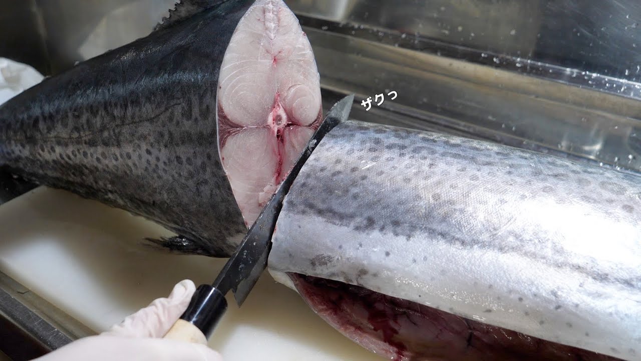 ありえないくらいまで育ってしまったサワラさばいてみた。意外に知らないサワラの一番うまい部位はここ