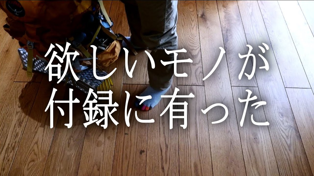 欲しいモノを付録で見つけた、これが付録なら買い。