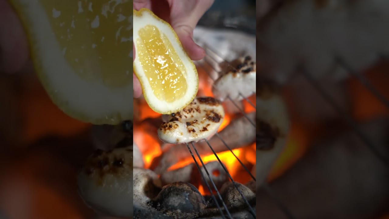 【七輪】トラフグの焼き白子がうますぎる！ #seafood #asmr #bbq #pufferfish