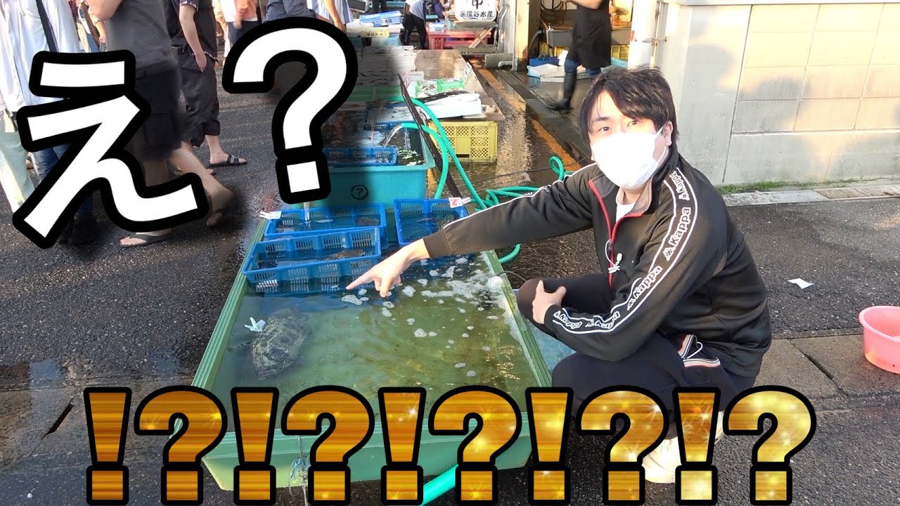【朝4時】朝市に、なんでこの魚売ってるの！？！？！？
