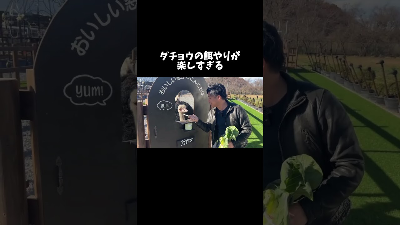 ダチョウに餌やりできる牧場が楽しすぎる #shorts
