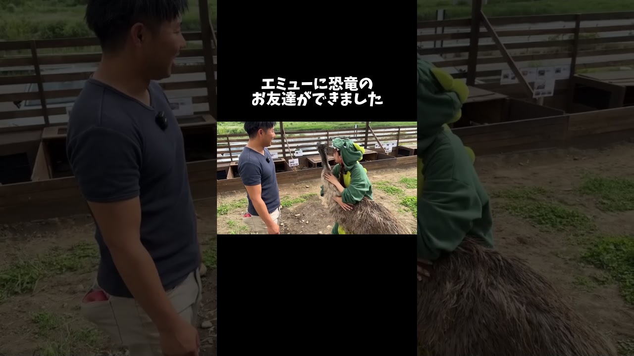 エミューに恐竜のお友達ができました　#shorts #あたろー