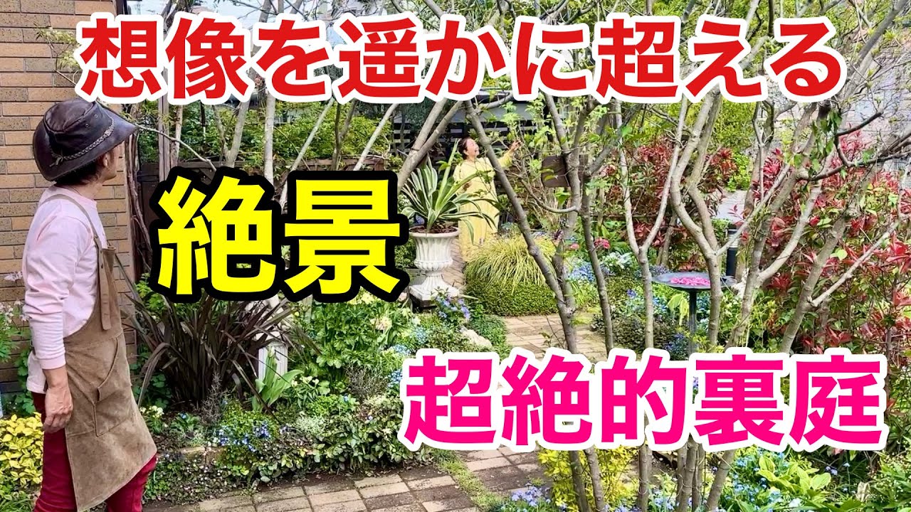 【驚愕の連続】バックヤードがとんでもなく素敵な個人庭　　【カーメン君】【園芸】【ガーデニング】【ひかる庭】