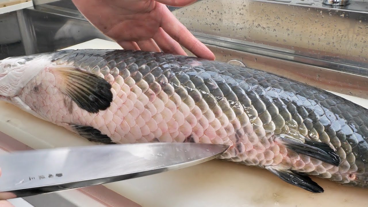 【集合体恐怖症】ピラルクのお腹の中が衝撃すぎました。