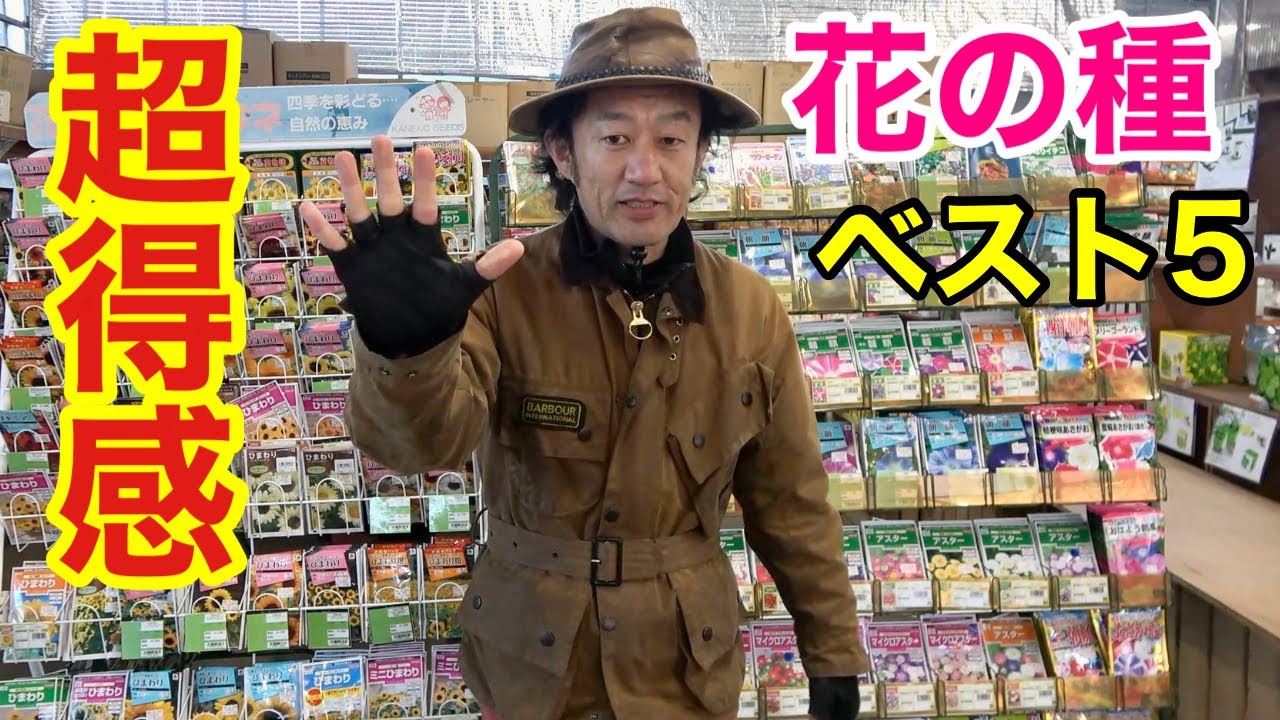 【盲点】あっと言わせる　お花の種ベスト５　　        【カーメン君】【ガーデニング】【初心者】