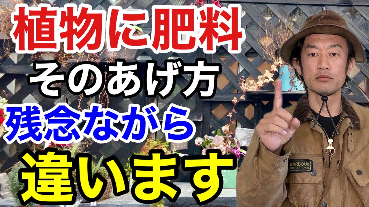 【お急ぎ下さい】実は今植物は肥料を欲しがってます　　　　　　【カーメン君】【寒肥】【ガーデニング】【初心者】