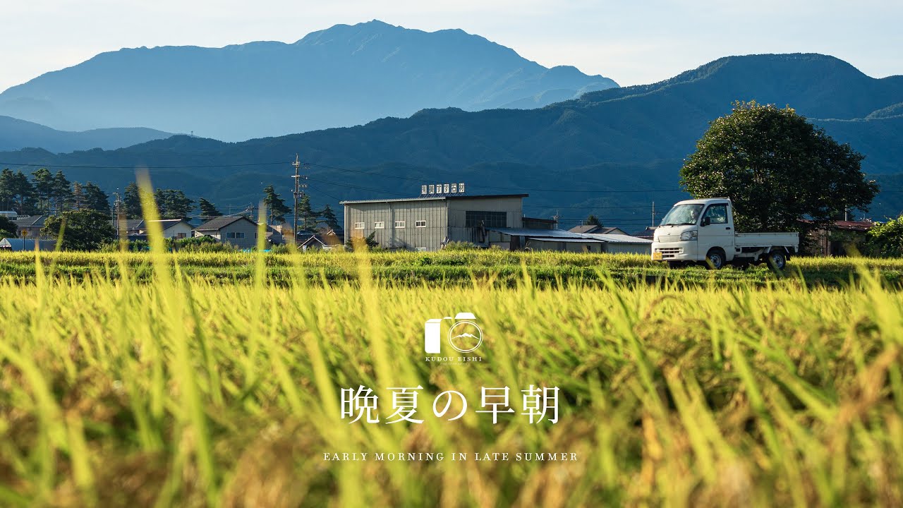 鈴虫が鳴く田舎の朝。実った稲穂とアルプスの風景撮影｜晩夏｜4K SDR
