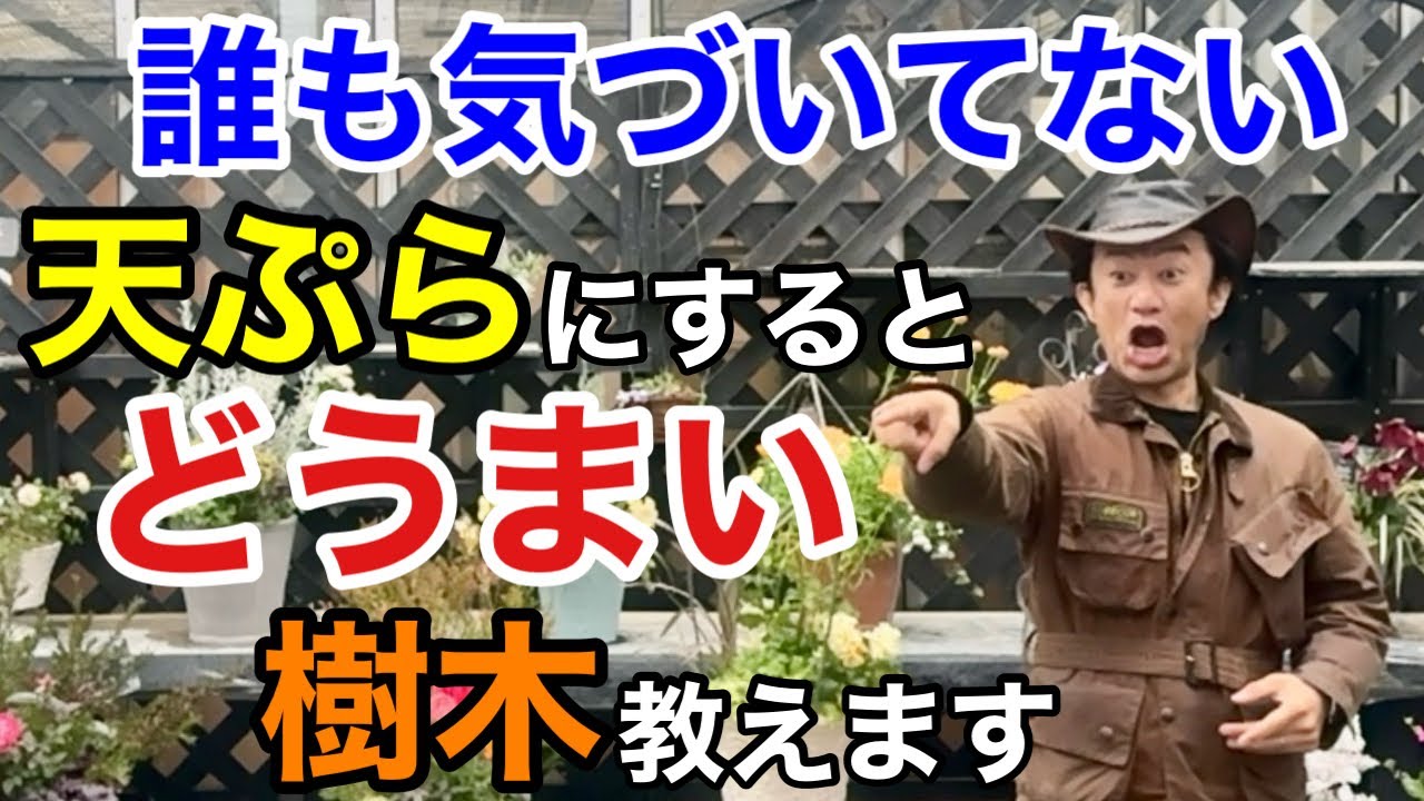 【目からウロコ】実は庭のその樹木は天ぷらで食べられます　　　　　　　　　【カーメン君】【園芸】【ガーデニング】【育て方】