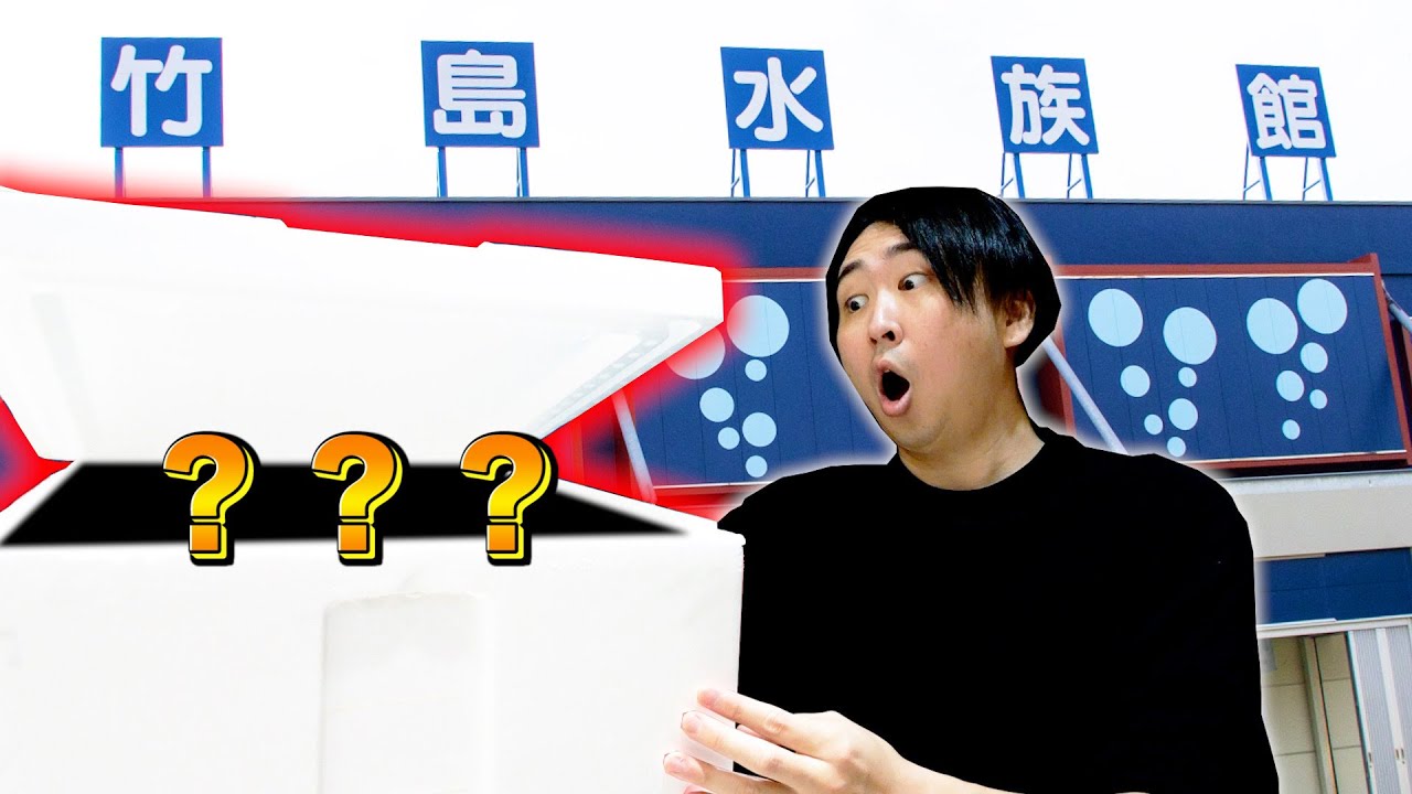 水族館に作ってもらった海鮮boxがヤバすぎた！！