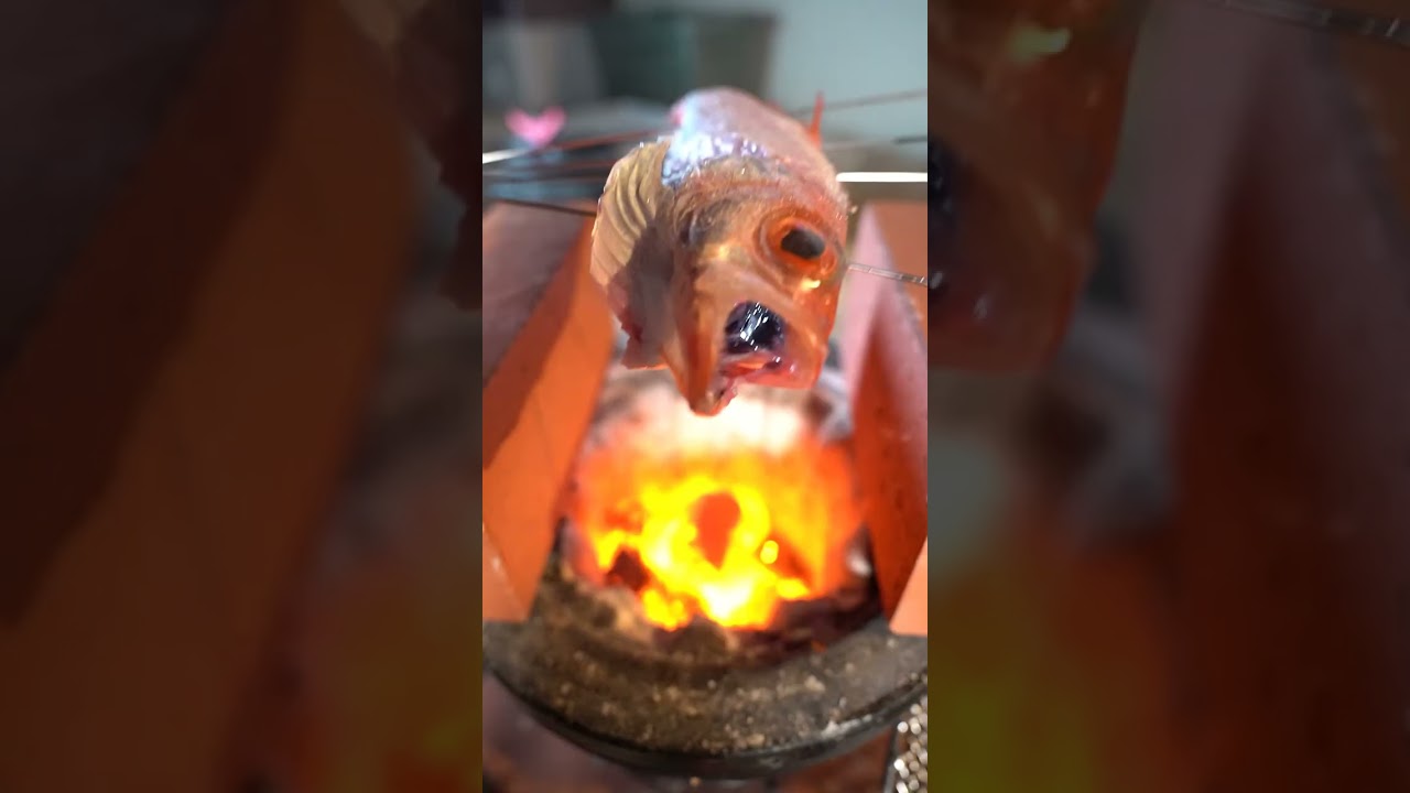 【七輪】のどぐろの炭火焼がうますぎる！　#asmr #seafood #bbq