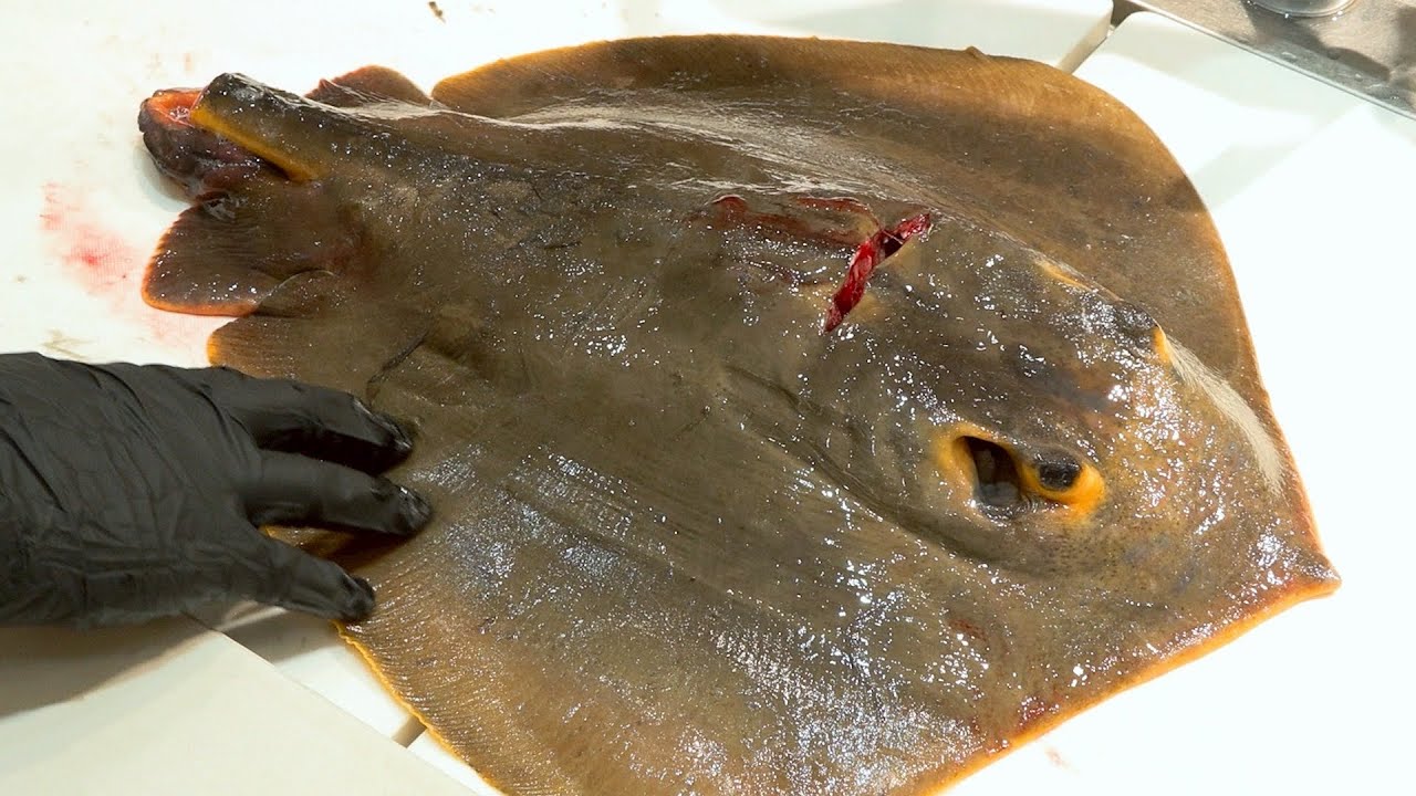 【0円食材】違法なレバ刺しを合法で食べる方法。