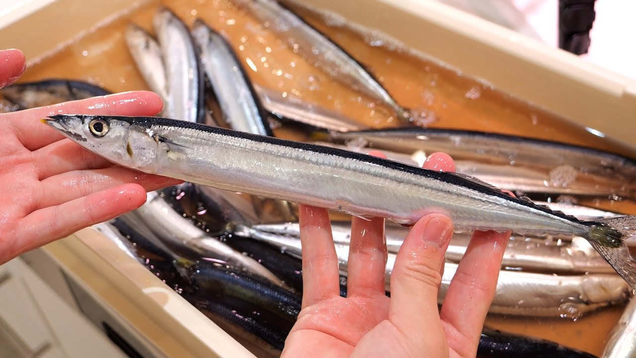 えんぴつみたいなサンマはこうして食べればうまい！