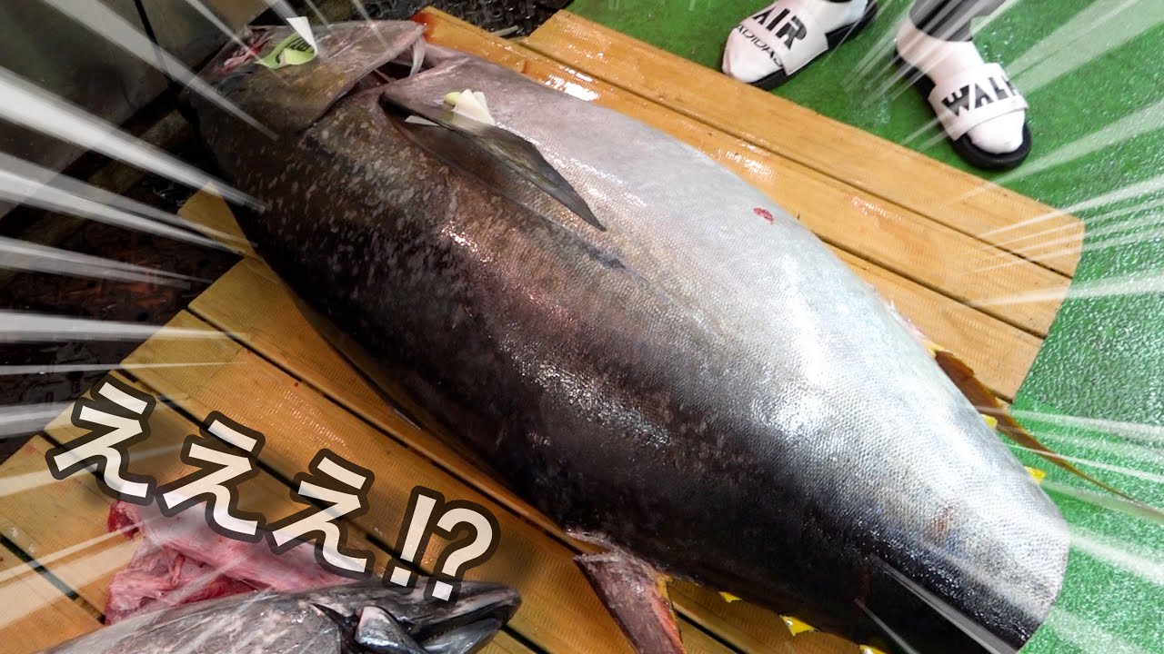 【朝5時】市場にすごいマグロと、絶滅したと思っていた◯◯が売っていた！買います！