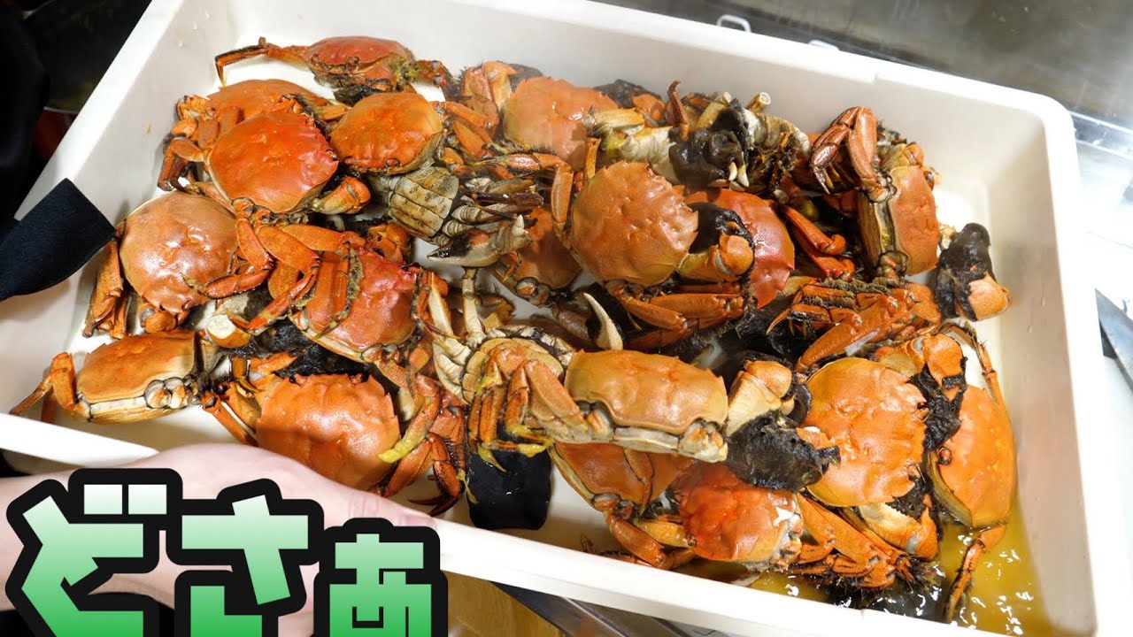 【ウェステルマン肺吸虫】寄生虫が潜むカニでフルコース作ってみた。