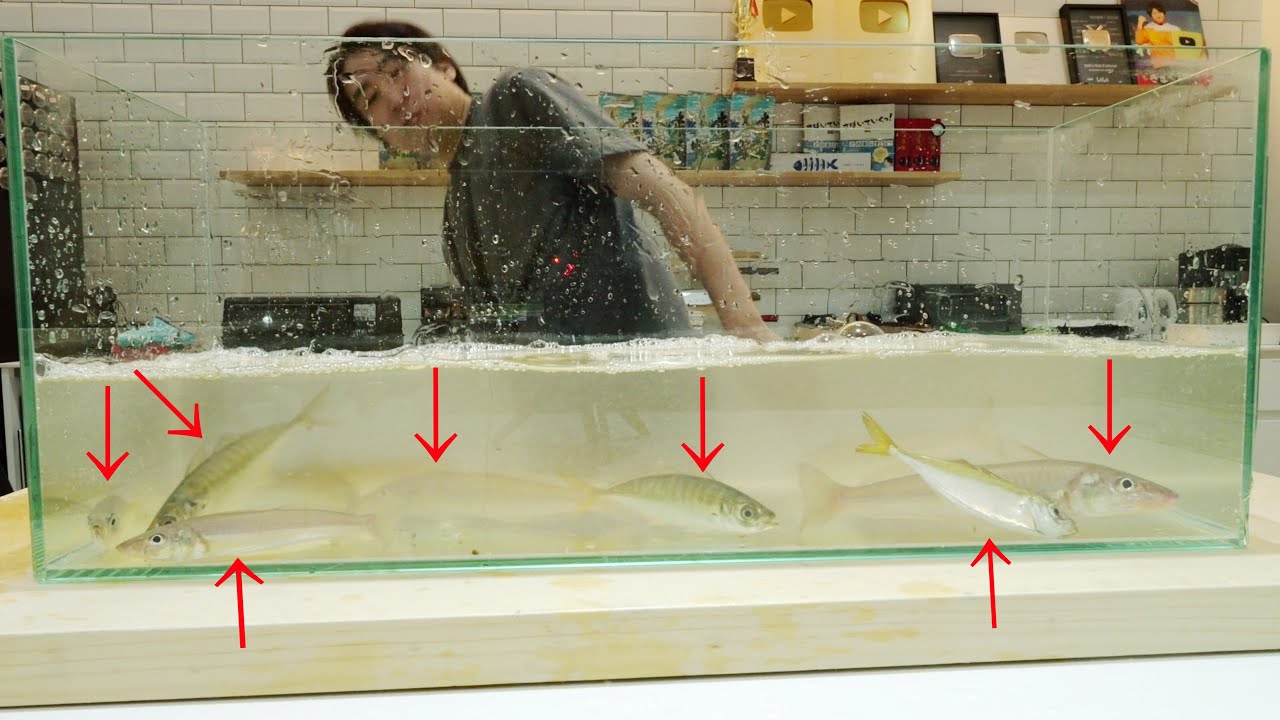 家でやる事じゃない事やってみた【キス編】