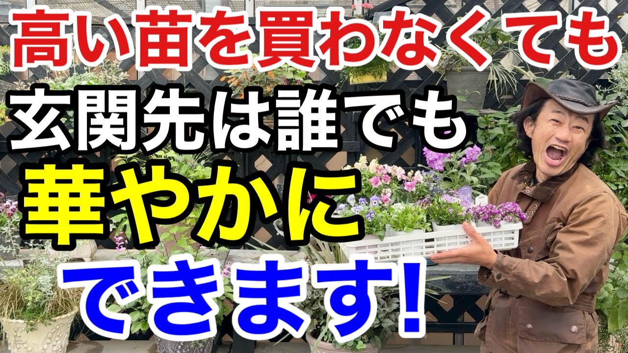 【春まで咲き続ける】これで満足度120%超コスパ重視の寄せ植えが作れます　　　　　　　　　　　【カーメン君】【園芸】【ガーデニング】【初心者】