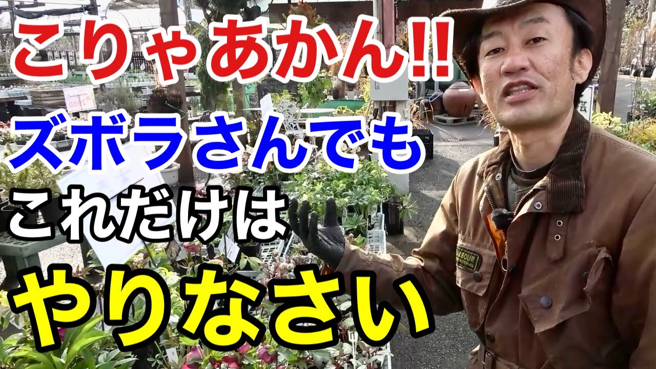 【3月の園芸作業一覧】3月暑い！これだけは早めにやっておいて下さい！！！　　【カーメン君】【園芸】【ガーデニング】【初心者】