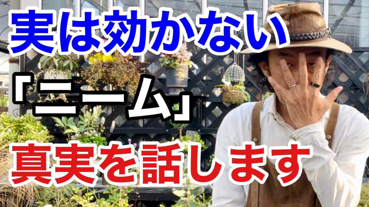 【知らなかった】天然虫除けニームの効果的な使い方教えます　　【カーメン君】【ガーデニング】【園芸】【初心者】【SDGZ】