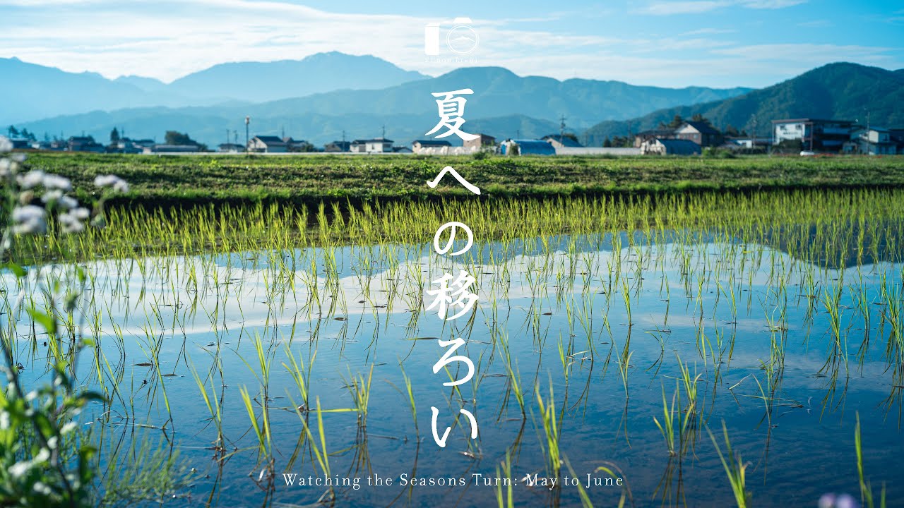 夏のはじまり。日本の田舎のひと月の変化｜信州