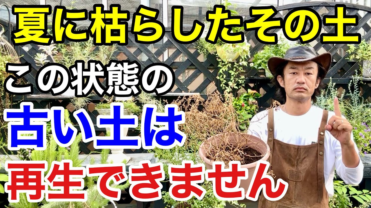 【やるの待って】植物を枯らした古い土を再生させるテクニック教えます　　　　　　　　　　【カーメン君】【園芸】【ガーデニング】【初心者】