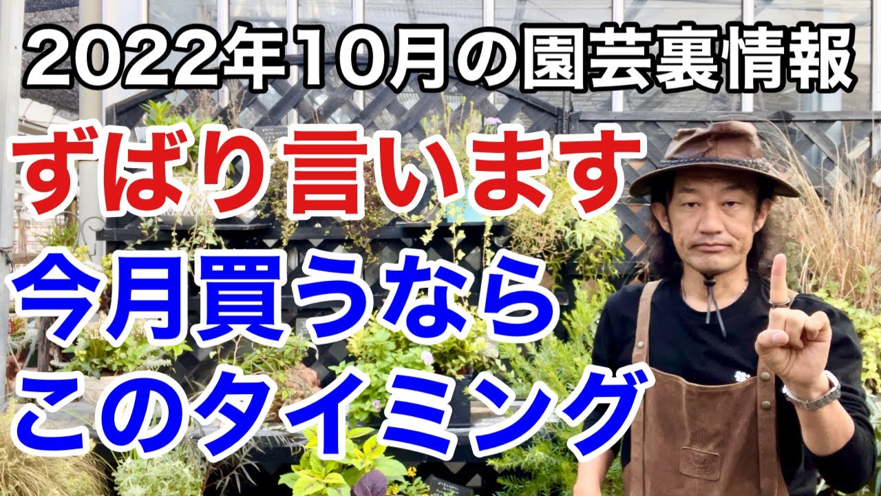【元店長が明かす】これ以外はまだ買わなくて大丈夫です　　　                  【カーメン君】【園芸】【ガーデニング】【初心者】