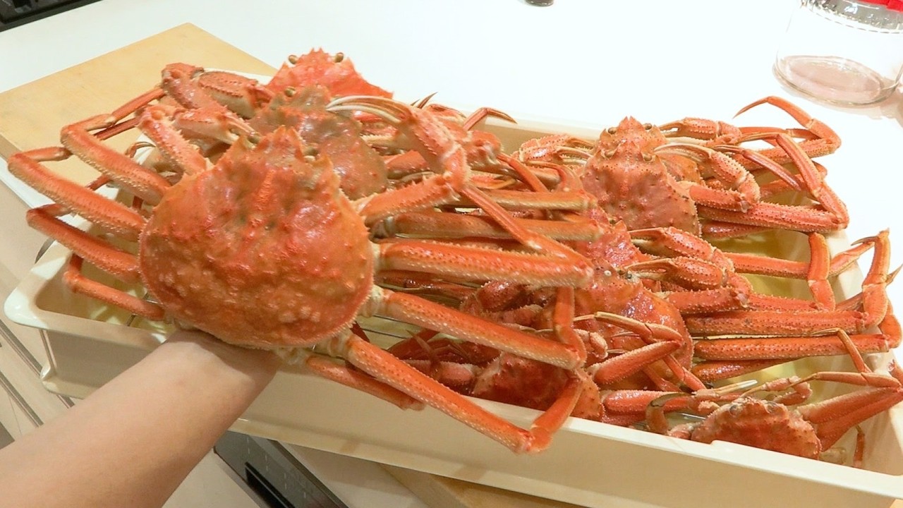 自然界でバグがおきております。