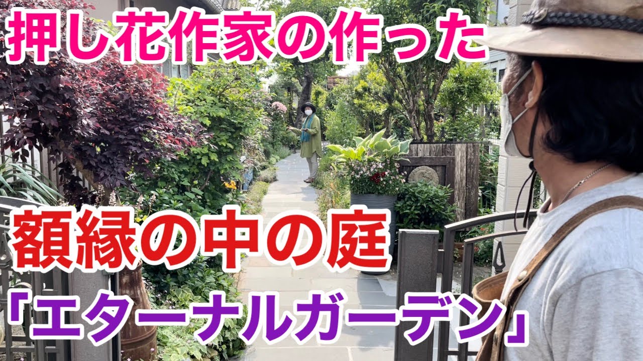 【アイディア満点】試行錯誤で作り続ける押し花作家の庭公開　　　　　　【カーメン君】【園芸】【ガーデニング】【個人庭】【丹羽さん】
