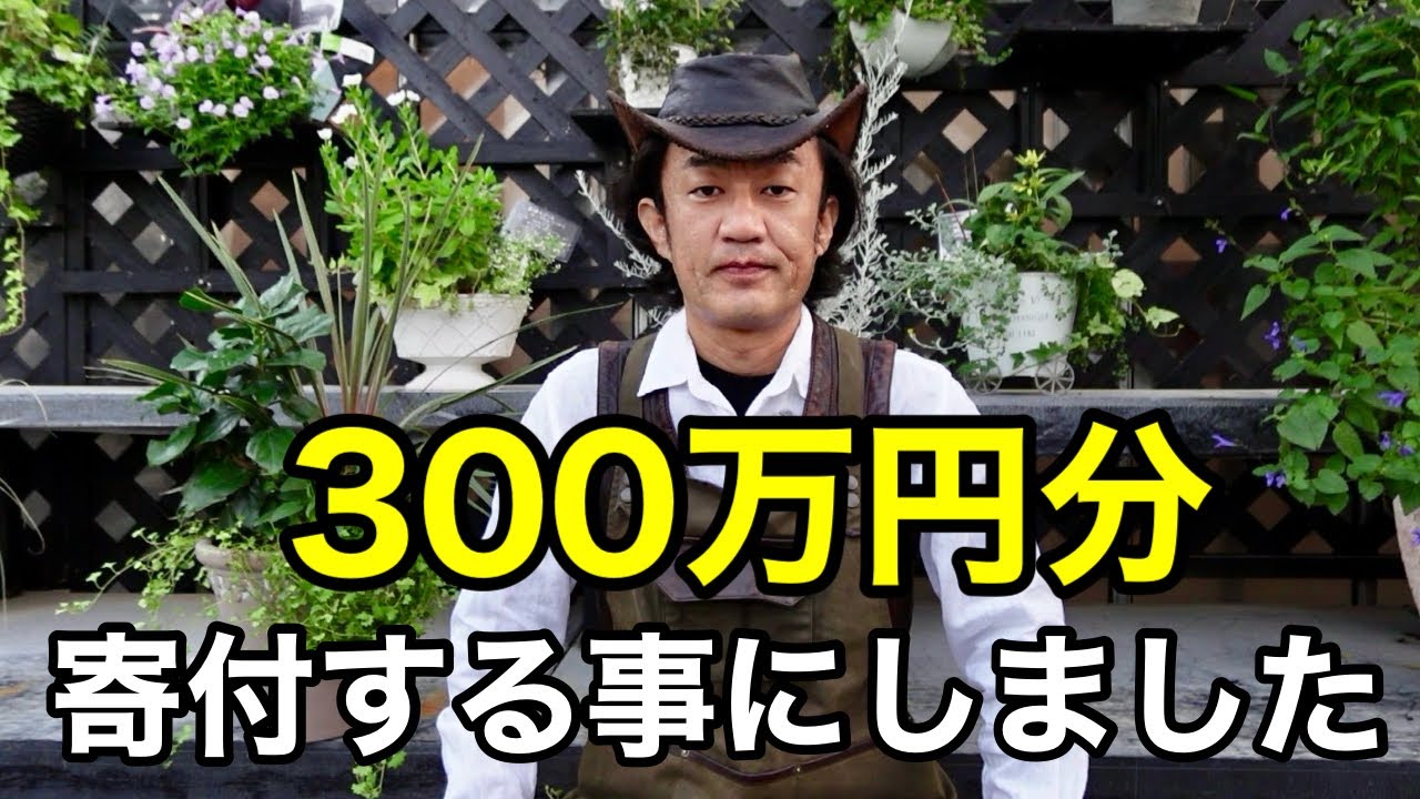 【小学校、老人ホーム、関係者様へ】そして園芸業界の今後を左右する重大な話をします。　　　　　　【カーメン君】【プレゼント】【ジャパンフラワーセレクション】