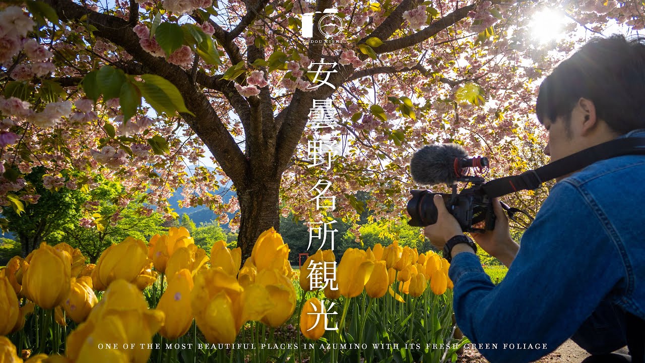 【風景写真】安曇野の新緑を満喫する写真旅/長野観光
