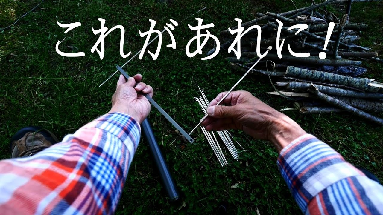 これが？あれに？なるのです。