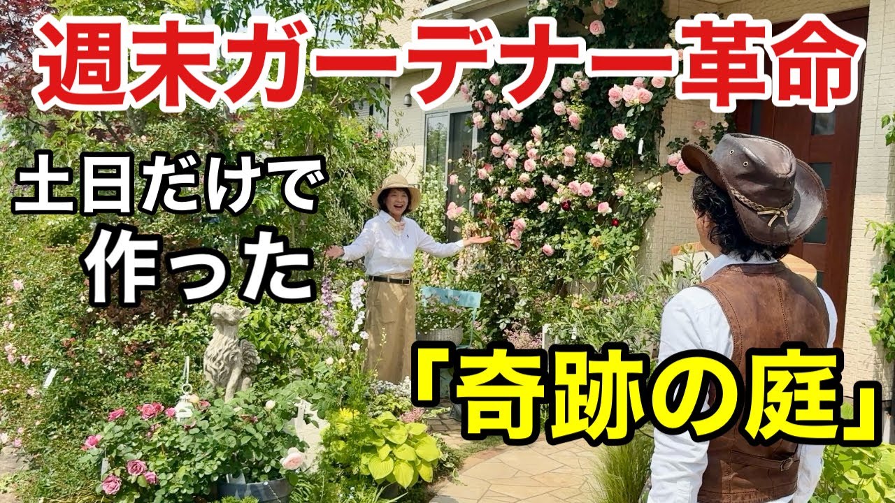 【諦めるな】週末だけでも庭で奇跡は起こせます　【カーメン君】【個人庭】【Mayさん】