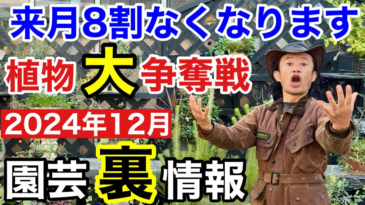 【○旬までに】12月は異常な位変動する月になりそうです　　　【カーメン君】【園芸】【ガーデニング】【初心者】