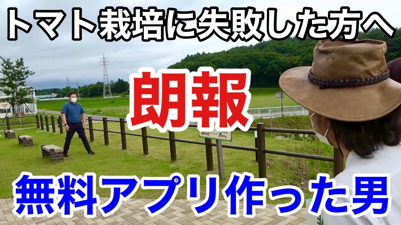 【裏話公開します】トマト栽培に失敗した方へ。。。　　　　【カーメン君】【園芸】【ガーデニング】【カゴメ】