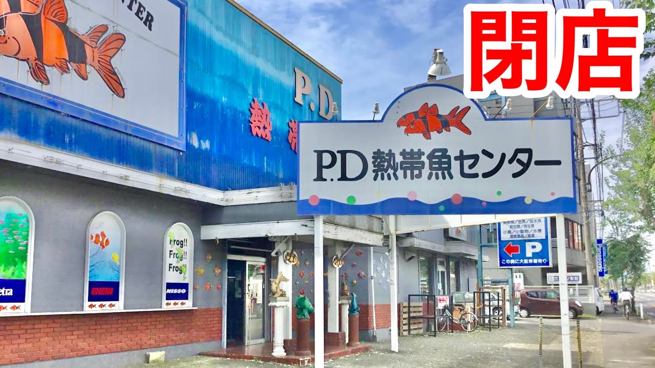 ５０年続いた日本一の熱帯魚専門店が閉店するので最後に行ってみると・・・